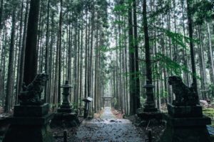 【海外】「なんて神秘的なんだ・・」まるで異世界への入り口のような京都の穴場スポットに海外も感動！