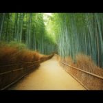 【海外】「日本の歴代天皇の圧倒的存在感は異常」2,600年以上、世界最古の歴史を誇る日本の天皇家に海外も興味津々！