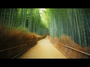 【海外】「日本は唯一無二だ！」日本の東京と京都の美しさに海外から驚嘆の声