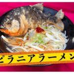 【海外】「これがラーメンの最終形態というわけか・・」日本でピラニアが入ったラーメンが期間限定で販売されるらしいぞ!
