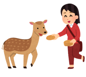 【海外】「日本って本当に特別だよね」桜と鹿の見事なコラボに海外称賛！