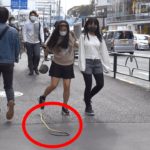 【海外】「リアクションが最高!」日本のへびドッキリが面白すぎると海外でも話題に
