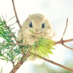 【海外】「日本の回転寿司って最高だな！」日本の回転寿司に海外も興味津々！