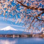 【海外】「なんてワイルドなスポーツなんだ！」日本の棒倒しの迫力に海外驚愕！