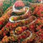 【海外】「景色は最高だ!」「渋滞さえなければ・・」紅葉の日光いろは坂に海外興奮!