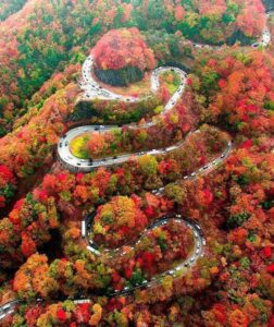 【海外】「景色は最高だ！」「渋滞さえなければ・・」紅葉の日光いろは坂に海外興奮！