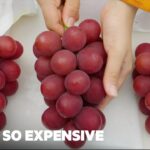 【海外】「日本のフルーツは別次元だ」日本の高級ぶどうに海外仰天!