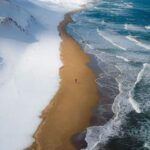【海外】「信じられない・・」「なんてスキルだ！」日本の木彫刻師の超絶技巧に海外驚愕！