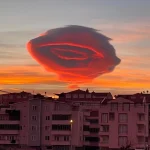 【海外】「これが日本人なんだ！」トルコ地震に駆けつけた日本の救助チームに現地から感謝の声が殺到！