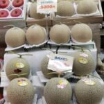 【海外】「ヴィーガン客に提供されたJALの機内食がこちら」→「箸でどうやって食べるんだw」「何も問題ないと思うけど？」