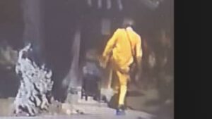 【海外】「二度と入国させるな」神社で賽銭箱を破壊したガンビア国籍の男に海外から怒りの声が殺到！
