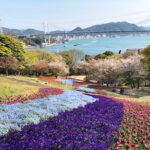 【海外】「アメリカにも欲しい！」日本のイケアの軽トラ貸し出しサービスに海外も興味津々！