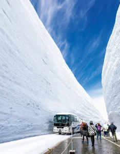 【海外】「マリオカートのコースかよ!」アルペンルートの異常な高さの雪の壁に世界が驚愕!