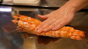 【海外】「京都で66ドルの鉄板焼きフルコースを食べてきた!」→「めちゃくちゃ美味しそう...」「アメリカにもこういう店が必要だ!」