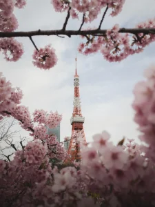 【海外】「日本はなんて美しいんだ」外国人が日本旅行中に撮った写真に海外も興味津々!