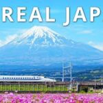 【海外】「日本の公衆トイレにある注意書きがヤバすぎるのだがw」