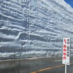 【海外】「怖すぎる」北海道で熊に襲撃される映像に海外戦慄！