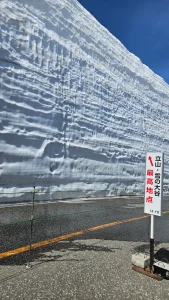【海外】「危険すぎるだろw」日本の異常な高さの雪の壁に世界が驚愕!