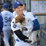 【海外】「彼は神なのか？」ドジャース大谷翔平が前人未到の43/43達成！