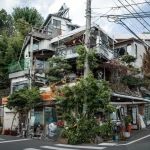 【海外】「これが一時的な道路だと？」災害に直面した日本が一時的に造った道路が凄すぎると話題に！