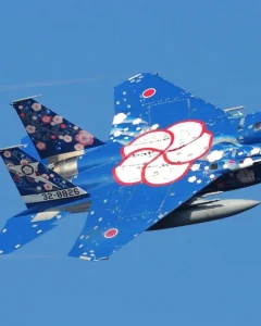 【海外】「日本はクールすぎる」日本の戦闘機の塗装が海外を魅了!