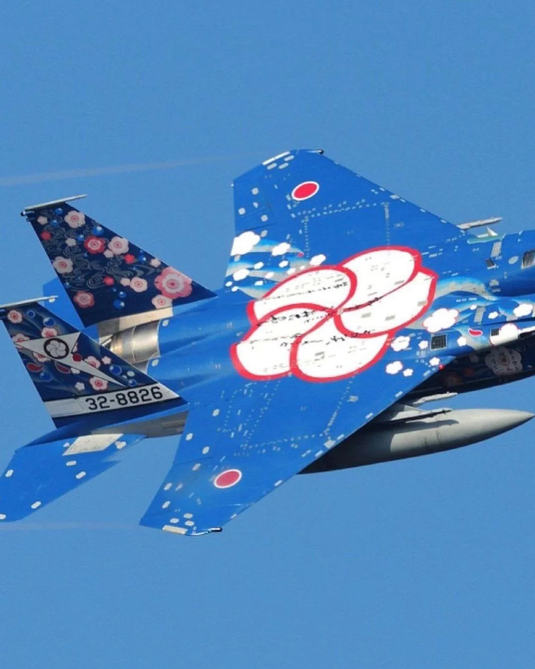 【海外】「日本はクールすぎる」日本の戦闘機の塗装が海外を魅了!