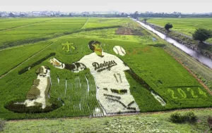 【海外】「マジすげえ....」大谷翔平を描いた田んぼアートに海外も興味津々!