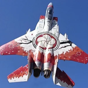 【海外】「戦闘機をアート作品に変えるのは日本だけだ」日本のF15戦闘機がクールすぎると海外で話題に!