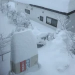 【海外】「日本人に不可能はないのか」日本人が作った紙のおもちゃが異次元レベルだと話題に！