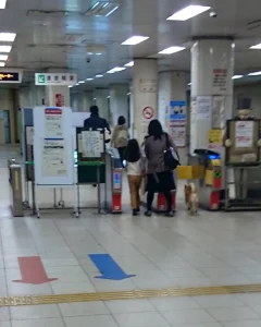 【海外】「無賃乗車を試みた柴犬の笑える結末がこちらw」
