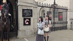 【海外】「なんて美しい光景」イギリス近衛兵の馬に特別扱いされる日本人の振る舞いが世界で称賛!