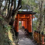 【海外】「4月の日本旅行で撮った京都、大阪、奈良の写真を見せるよ！」