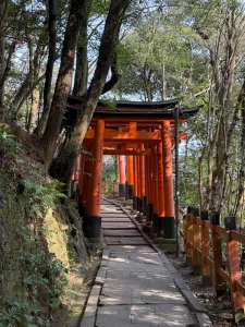 【海外】「4月の日本旅行で撮った京都、大阪、奈良の写真を見せるよ！」