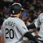 【海外】「軽く振ってこれ？」村上宗隆の衝撃11号ホームランに海外騒然ｗ